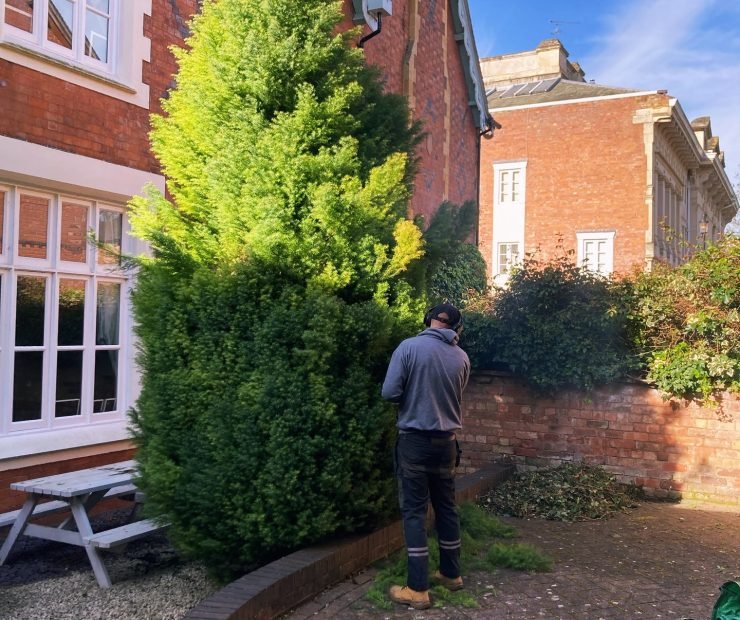 491452000_18038984075537829_7646632502466909860_n